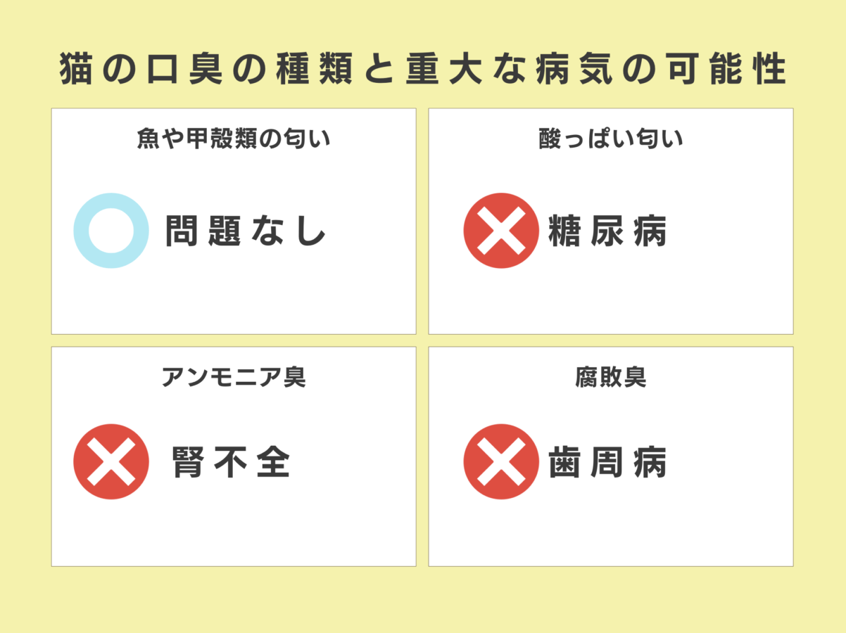 猫の口臭の種類と病気の可能性